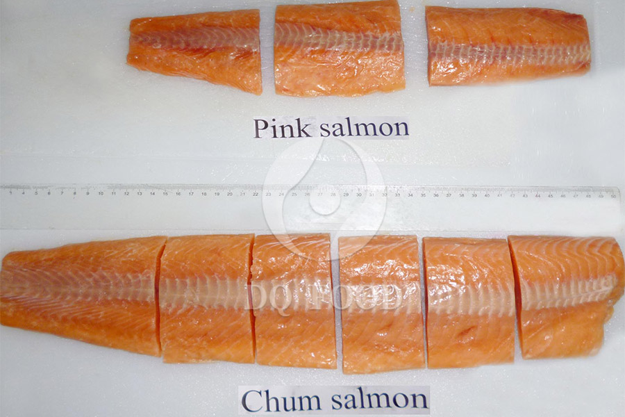 Pink-Chum-salmon-portion