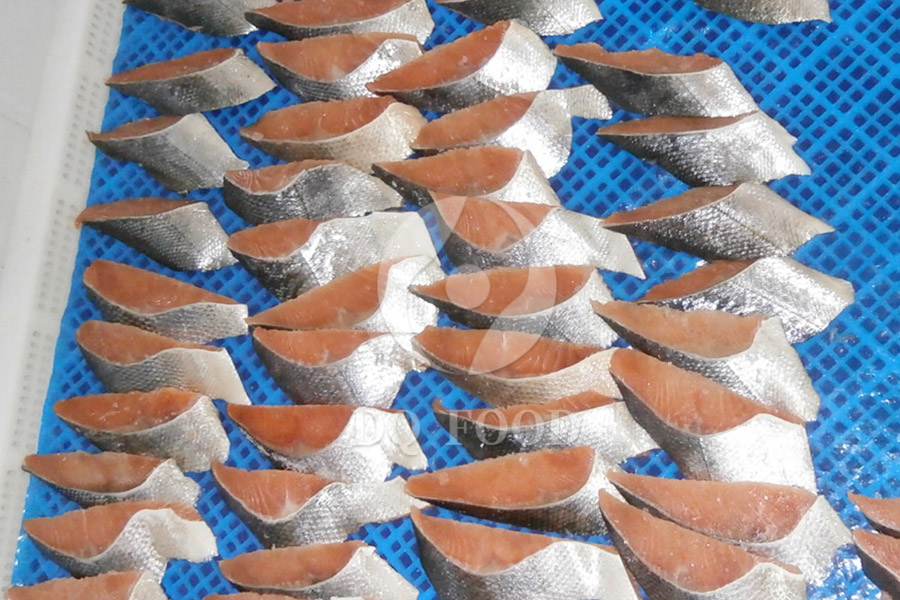 Oblique-cut-salmon-portion