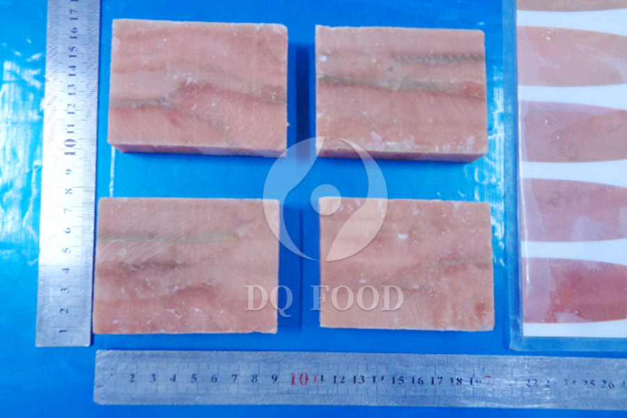 Salmon-Block-portion