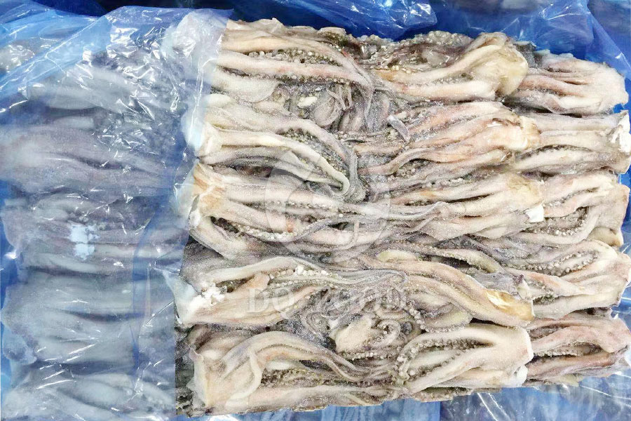 Squid-Tentacles