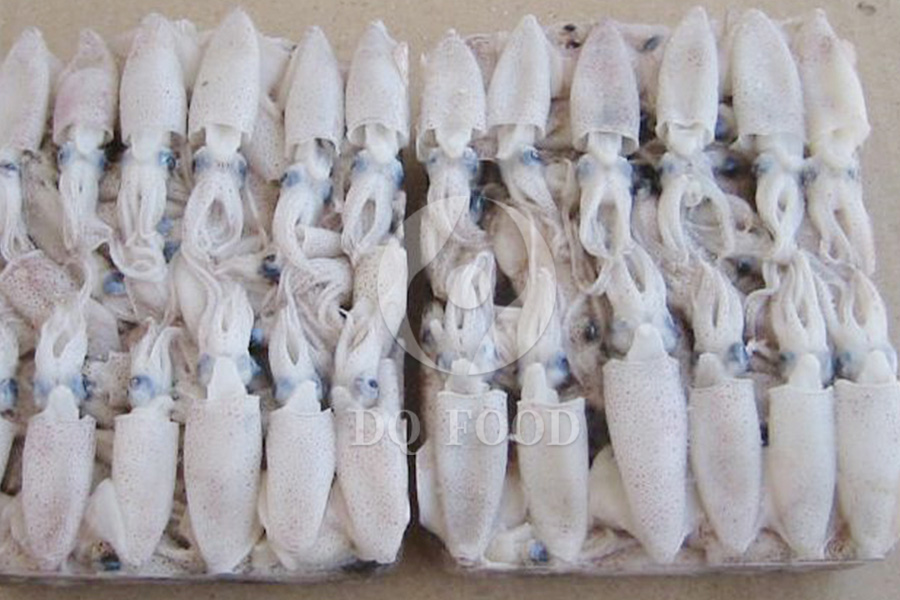 Block-Frozen-Baby-Squid-