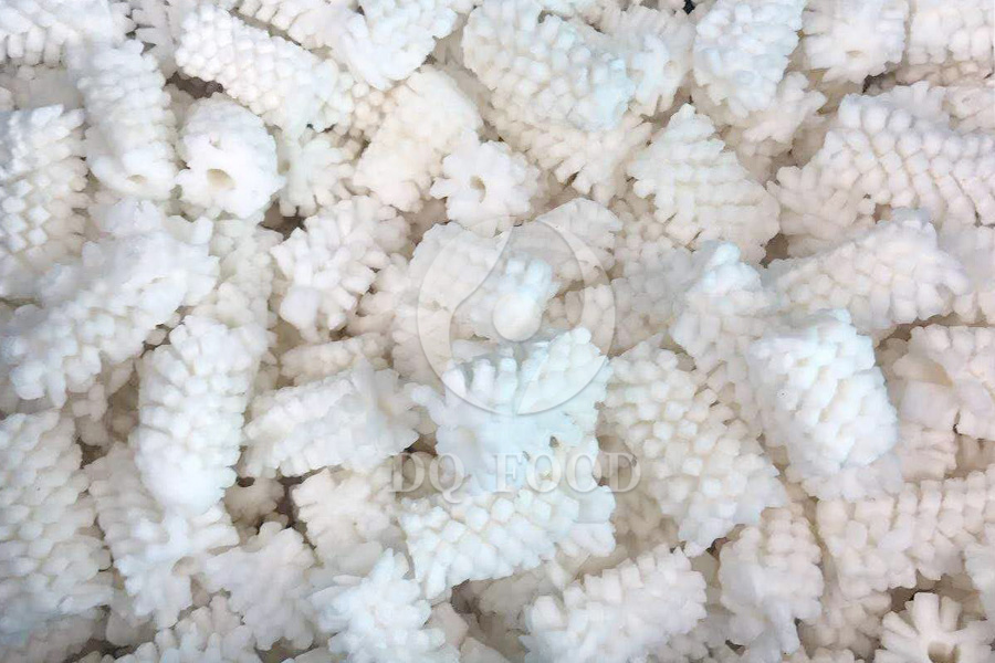 Squid-flower