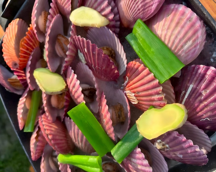 The price of Japanese scallops has reached a record high, and weak demand cannot