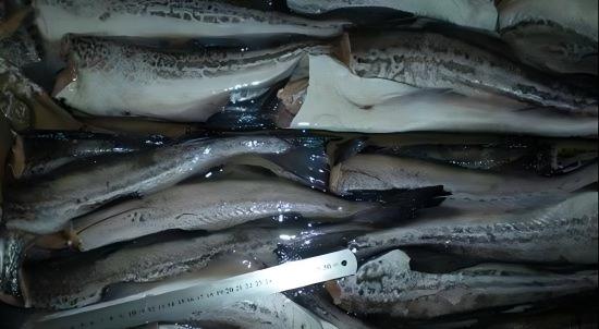 1765332935845022.jpg 狭鳕原料.jpg