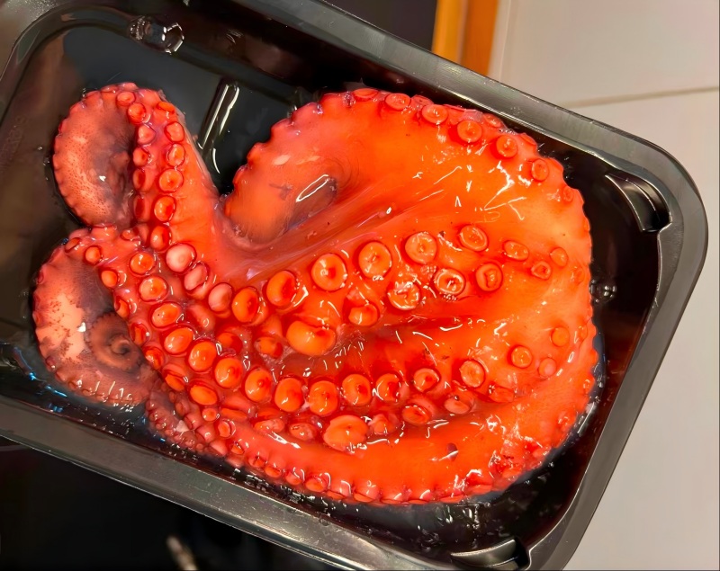 The Moroccan octopus fishing season is set to resume in January, and prices may 