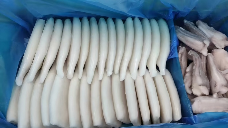 Peru's squid production has soared by 245%, with upgraded regulations and satell