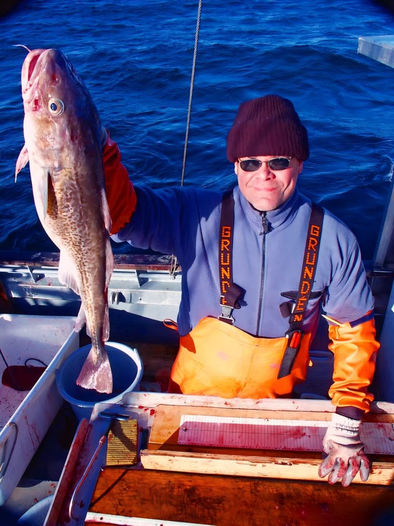 The price of Pacific cod in the United States has been continuously rising