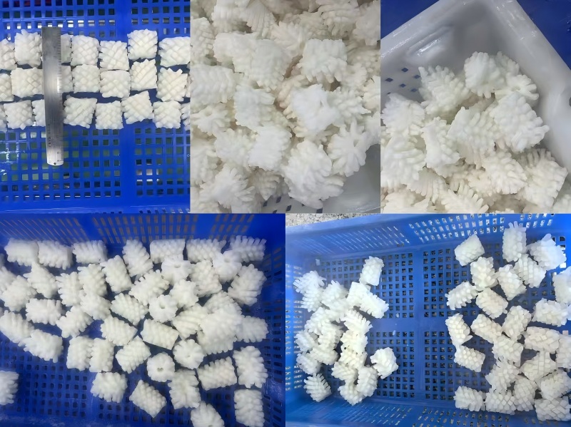 The price of Peruvian squid has been continuously falling, while the catch of Ar