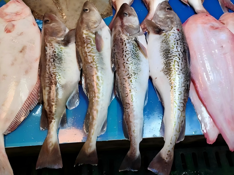 A senior EU official confirmed that sanctions against Russia on aquatic products