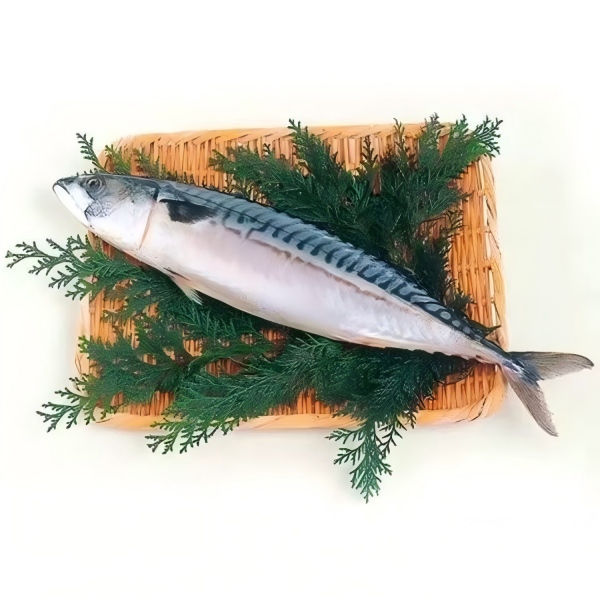 The quota has dropped by 68%, and the quote for Icelandic mackerel has broken th