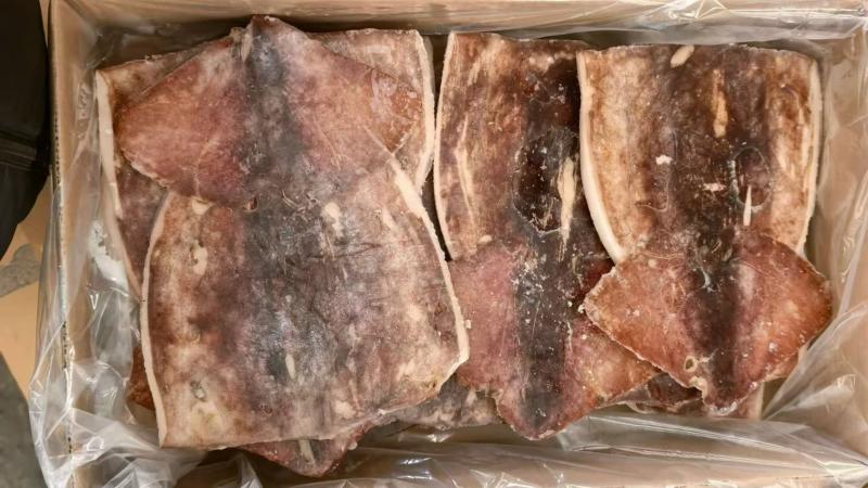 Squid Weekly Report: The volume of squid entering Zhoushan has increased signifi